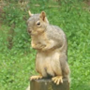 Meet your Posher, Jared